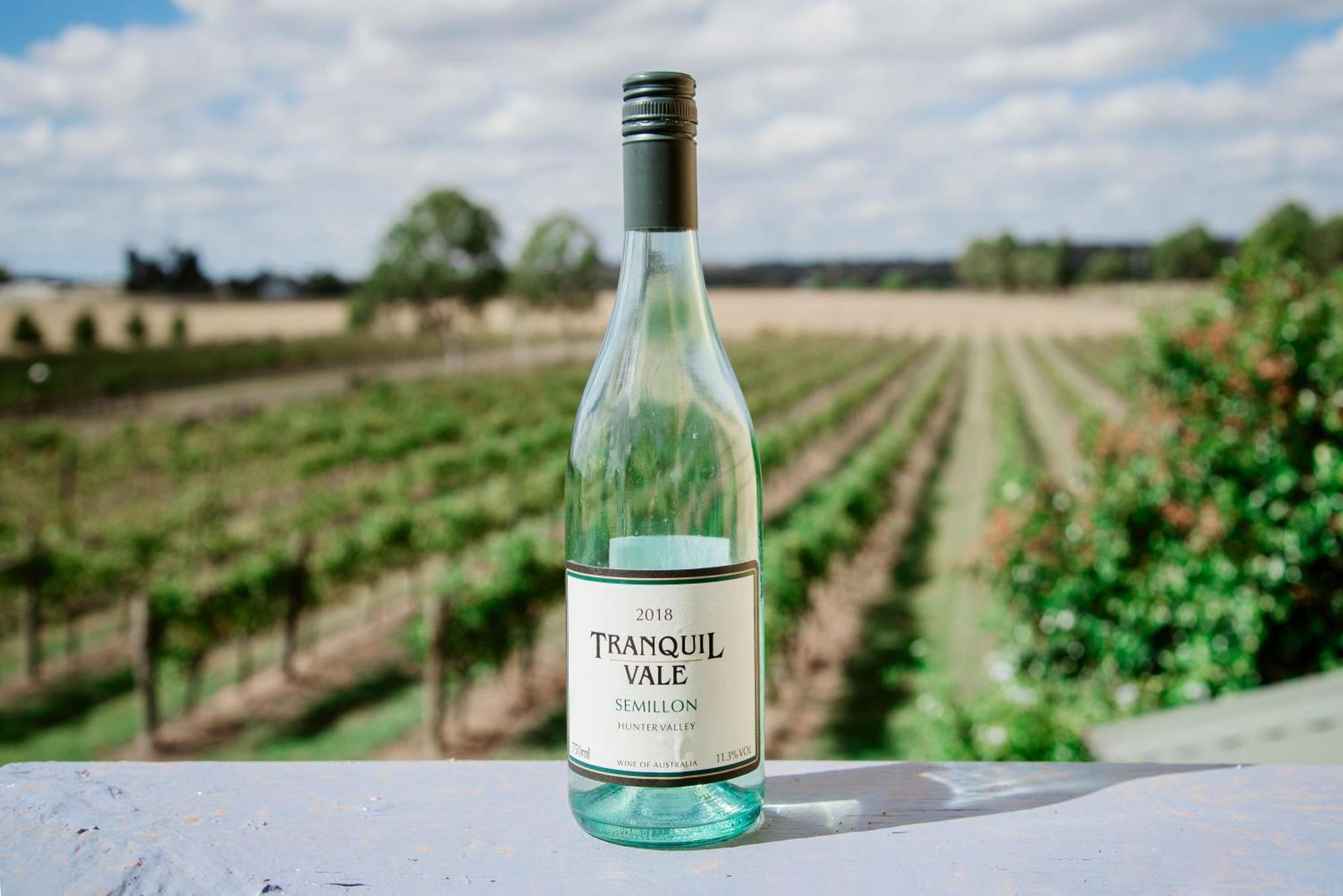 Tranquil Vale Vineyard Hotel Luskintyre Exterior foto