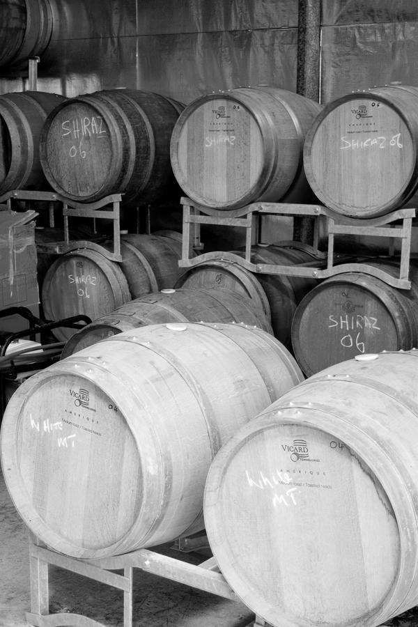 Tranquil Vale Vineyard Hotel Luskintyre Exterior foto