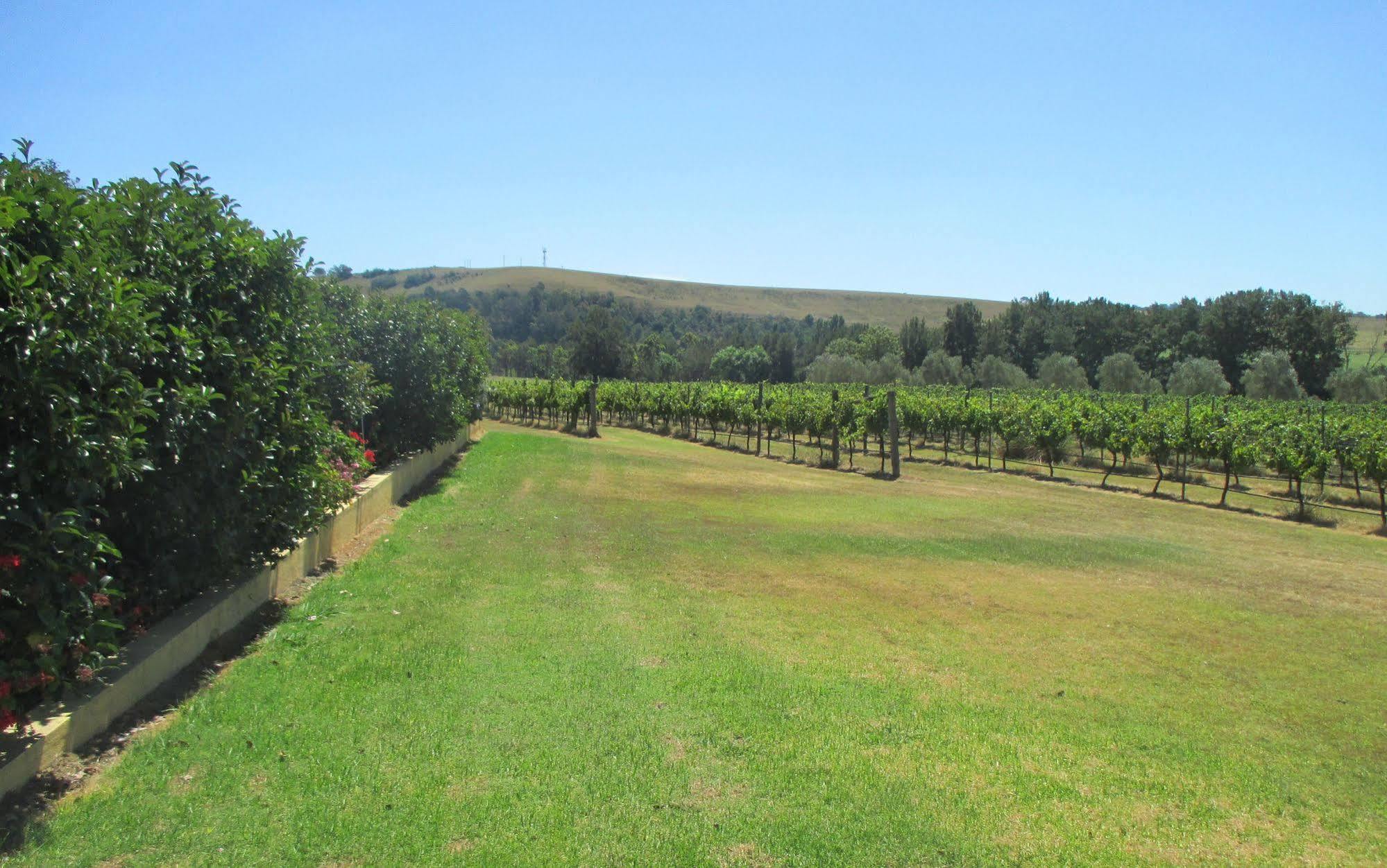 Tranquil Vale Vineyard Hotel Luskintyre Exterior foto